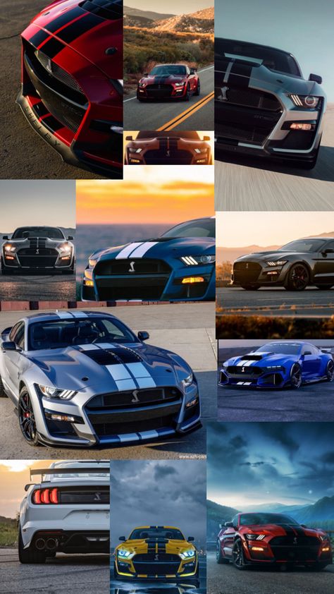 Collage Mustang Gt500 Shelby, Shelby Wallpaper, Gt500 Shelby, Shelby Gt 500, Mustang Wallpaper, Slammed Cars, Ford Mustang Cobra, Mustang Gt500, Ford Mustang Car