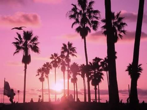 2014 Beach Aesthetic, 2019 Vibes, Tumblr Girly Aesthetic 2013, Summer Tumblr, 2010s Aesthetic, Toro Inoue, Pink Tumblr Aesthetic, 2000s Aesthetic, Pretty Pics