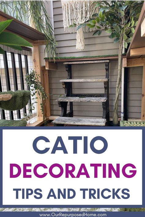 outdoor catio What To Put Inside Catio, Catio Cats Interior, Catio Ideas Cat Diy, Cat Balcony Ideas, Catios Ideas For Cats, Diy Cat Shelves, Catio Ideas, Cat Paradise, Cat Safe Plants