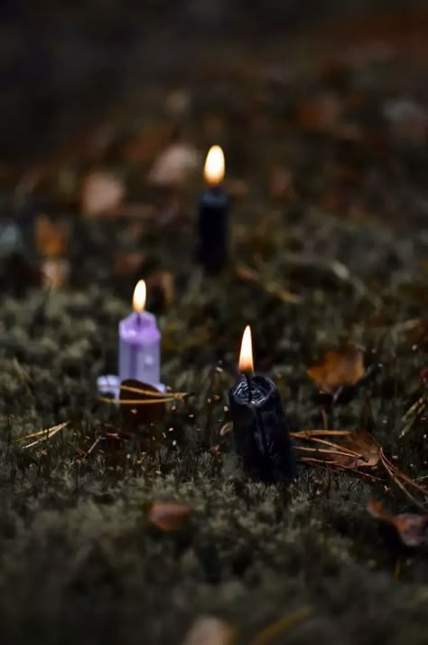 Forest Witch Aesthetic, Last Quarter Moon, Green Witch Aesthetic, Witchcraft Candles, Quarter Moon, Nature Witch, Autumn Witch, Moon Rituals, Love Spell That Work