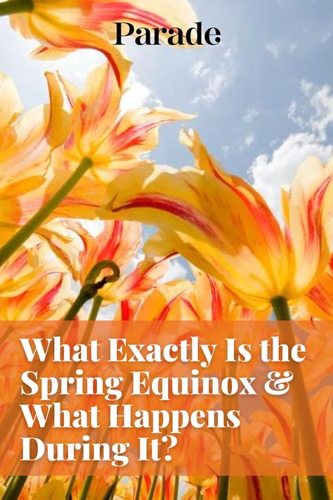 What Exactly Is the Spring Equinox and What Happens During It? #spring #springequinox #seasons https://parade.com/1177583/stephanieosmanski/what-is-spring-equinox/ Vernal Equinox Day, Equinox Day, Iranian New Year, March Equinox, Ancient Maya, Vernal Equinox, Spring Equinox, First Day Of Spring, Daylight Savings Time