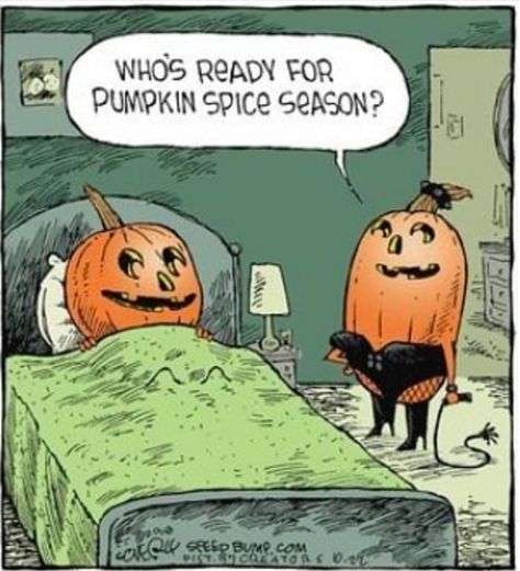 Want some help getting into a spooky mood? Thes funny pumpkin memes will have you laughing all October long. #funny #humor #memes #fallmemes Funny Halloween Memes, Punny Halloween Costumes, Fall Memes, Halloween Jokes, Halloween Memes, Funny Pumpkins, Pumpkin Spice Season, Halloween Quotes, Halloween Cartoons