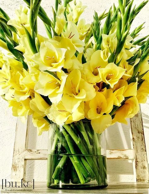 A pretty vase of gladiolus for August. Gladiolus Arrangements, Garden Archway, Gladiolus Flower, Unique Floral Arrangements, Gladioli, Church Flowers, Flowers Yellow, Beautiful Flower Arrangements, Deco Floral