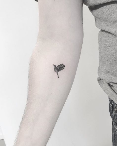 Blackbird Tattoo Traditional, Tiny Blackbird Tattoo, Black Bird Tattoo Beatles, Small Blackbird Tattoo, Blackbirds Art, Blackbird Tattoo Beatles, Blackbird Beatles, Blackbird Tattoo, Beatles Tattoo