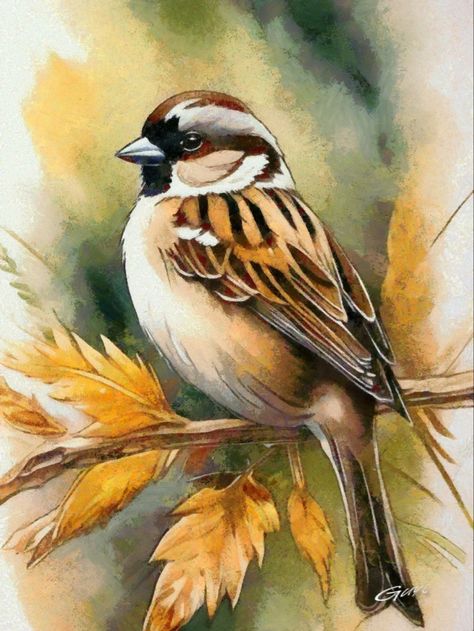 Birds In Acrylic Painting, Painting Birds Acrylic, Acrylic Bird Paintings On Canvas, Birds Watercolor Paintings, Acrylic Painting Animals, Acrylic Painting Birds, Watercolor Birds Paintings, Bird Acrylic Painting, Bird Watercolor Art