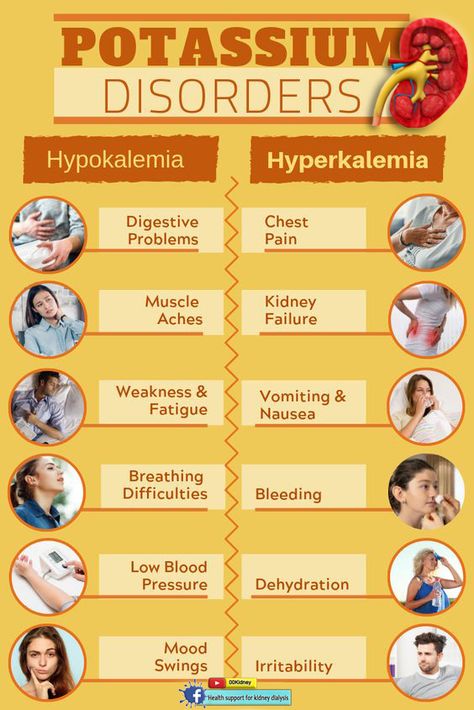 Low Potassium Symptoms, Potassium Deficiency, Potassium Foods, Potassium Rich Foods, High Potassium, Creatinine Levels, Ketogenic Diet Meal Plan, Low Blood Pressure, Baking Soda Shampoo