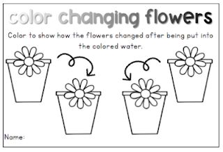 Color Changing Flowers, Flower Science, Neon Food Coloring, Spring Lesson Plans, Science Valentines, Spring Lessons, Simple Science, Easy Science, Two Friends