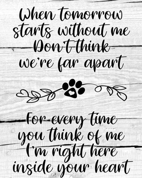 Dog Memorial Nails, When Tomorrow Starts, Memorial Picture Frame, Miss My Dog, Dog Memorial Tattoos, Colorful Hairstyles, Dog Quotes Love, Dog Remembrance, Heaven Quotes