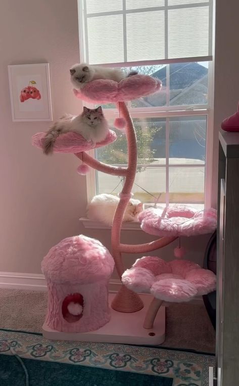 Luxury Cat Furniture, Cat Apartment, Wood Cat Tree, Modern Cat Tree, Flower Tower, Flower Cat, Luxury Cat, Pusheen Cat, New Bed