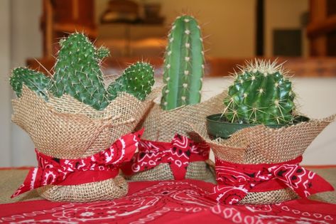 Cowgirl / Cowboy Party cacti centerpiece | Wild West Party | Pinterest Cowboy Party Centerpiece, Western Centerpieces, Cactus Centerpiece, Best Craft Ideas, Wild West Birthday, Cowboy Theme Party, Wild West Theme, Cactus Western, Wild West Party