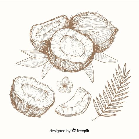 Coconut Vector, Beachy Tattoos, Japanese Candles, Cookies Branding, Palm Tattoos, Food Illustration Art, Free Business Cards, Business Card Maker, Graphic Editing