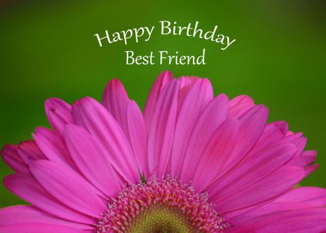 Happy Birthday Best Friend, half pink gerber daisy with green background card Pink Gerber Daisy, Happy Half Birthday, Happy Birthday Sis, Happy Birthday Best Friend, Gerber Daisy, Birthday Greetings Friend, Birthday Sister, Happy Birthday Greetings Friends, Background Green