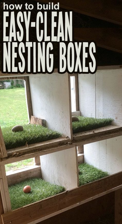 How To Grow Watermelon, Chicken Boxes, Easy Chicken Coop, Chicken Coup, Coop Design, Chicken Coop Designs, Keeping Chickens, Building A Chicken Coop, Chicken Coop Plans