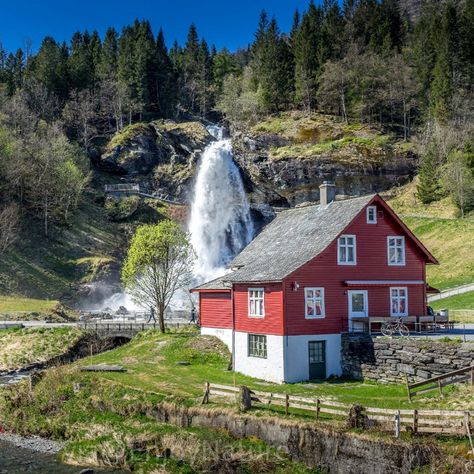 Amazing Steinsdalsfossen Waterfalls in Hordaland county Norway #Norway  #Travel #Photo #Nature #Hiking #Images #Woods #Mountains #Pictures #Traveling #Outdoors #TravelTuesday #Beauty #Relax #Adventurespic.twitter.com/dzscHcE64J Norwegian Cottage, Travel Norway, Beautiful Norway, Norway Travel, Red House, Beautiful Places In The World, Alam Yang Indah, Beautiful Places To Travel, Travel Diary