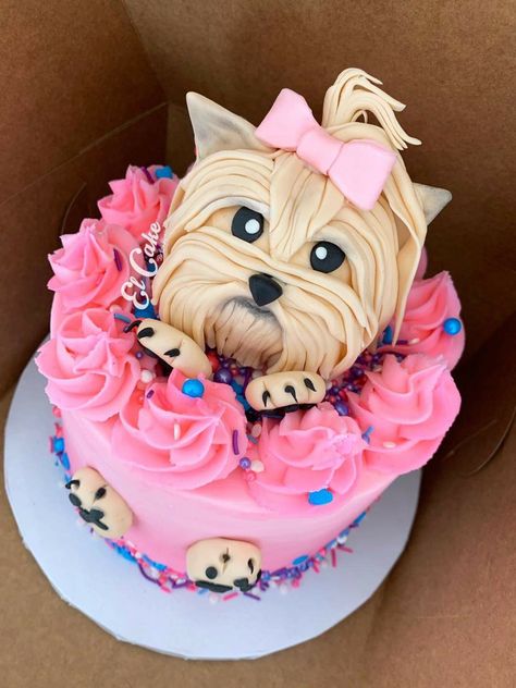 Yorkie Cakes Birthday, Yorkie Birthday Cake, Yorkie Cake, Puppy Birthday Cakes, Candy Birthday Cakes, Puppy Birthday Parties, Puppy Cake, Dog Birthday Cake, Cartoon Cake