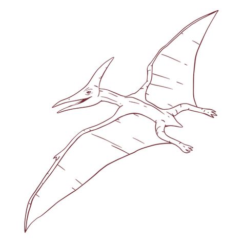 Pterodactyl Drawing Cute, Teradactyl Drawing, Flying Dinosaur Drawing, Scientifically Accurate Dinosaurs, Long Neck Dinosaur Drawing, Pterodactyl Drawing, Pterodactyl Tattoo, Dinosaur Drawings, Dino Drawing