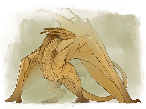 Dragon Poses, Dragon Anatomy, Targaryen Art, Asoiaf Art, Dragon Sketch, Gra O Tron, Creature Drawings, Dragon Pictures, Dragon Games