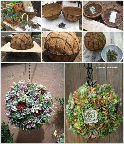 Kaktus Dan Sukulen, Kissing Ball, Succulent Wreath, Hanging Succulents, Succulent Gardening, Have Inspiration, Cactus Y Suculentas, Garden Care, Different Plants