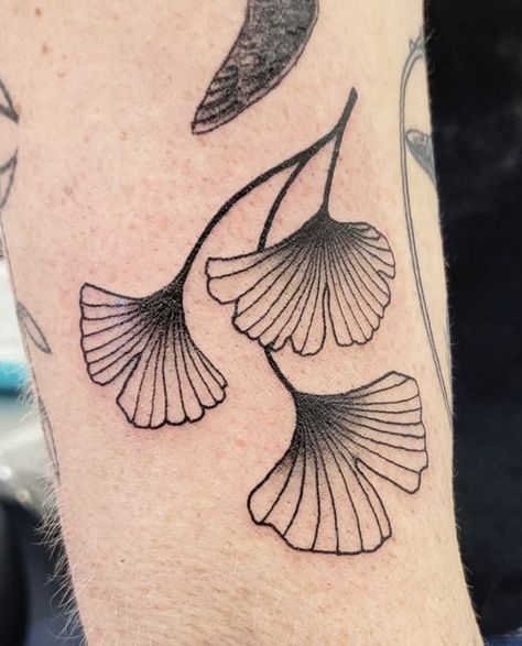 Fan Leaf Tattoo, Ginkgo Leaf Tattoos, Ginko Leaf Tattoos Traditional, Gap Filler Tattoo Black And Grey, Ginko Leaves Tattoos, Glamorous Tattoo, Ginko Leaf Tattoo, Gingko Leaves Tattoo, Ginko Leaf Tattoos