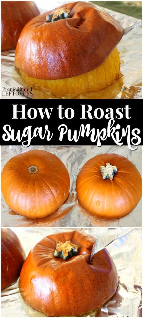 How To Cook A Pumpkin For Pie, Freeze Pumpkin Puree, Freeze Pumpkin, Roasting Pumpkin, Roasted Pumpkin Recipes, Make Pumpkin Puree, Autumn Foods, Pumpkin Puree Recipes, Farming Life