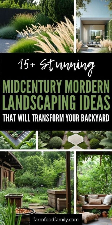 25+ Fresh Midcentury Modern Landscaping Ideas for a Chic Outdoor Retreat 62 Midcentury Modern Landscape Ideas, Mcm Front Yard Landscaping, Mid Century Modern Plants Outdoor, Oasis Landscape Design, Midcentury Modern Landscape Design, Modern Landscape Design Backyard, Entry Landscape Ideas, Ranch Home Landscaping, Unique Landscaping Ideas