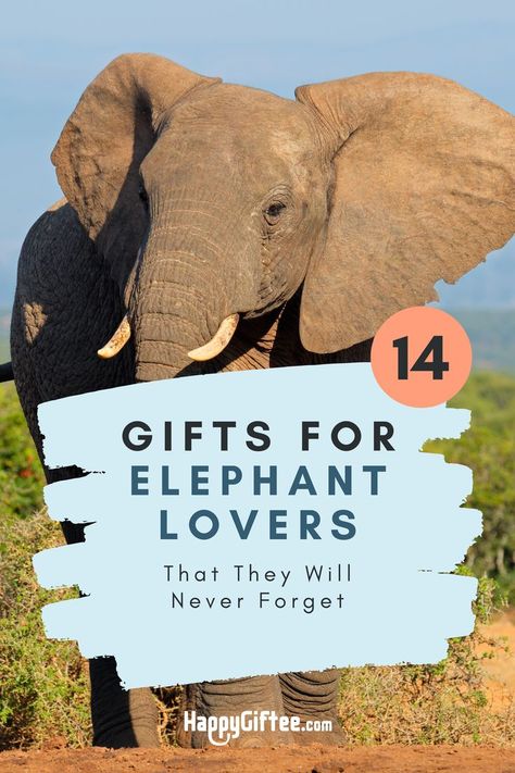 List of hand-picked gift ideas for elephant fans 🎁 See full article at: https://www.happygiftee.com/elephant-gifts/ Gifts For Elephant Lovers, Elephant Teacher Gift, Gifts With Elephants, 19th Birthday Presents, Elephant Gifts For Her, Elephant Gift Ideas, Safari Decor, Unique Travel Gifts, Thailand Elephants