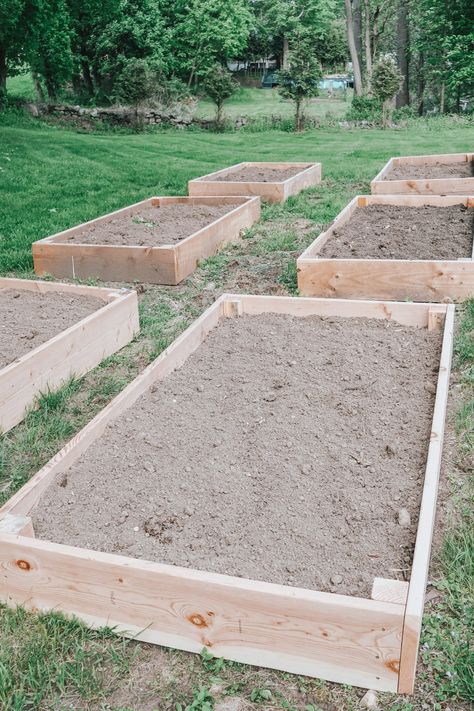 Inexpensive Raised Garden Beds, Cheap Garden Beds, Easy Raised Garden Bed, Raised Beds Diy, Easy Garden Beds, Making Raised Garden Beds, Diy Raised Garden Beds, Potato Planter, Cheap Raised Garden Beds