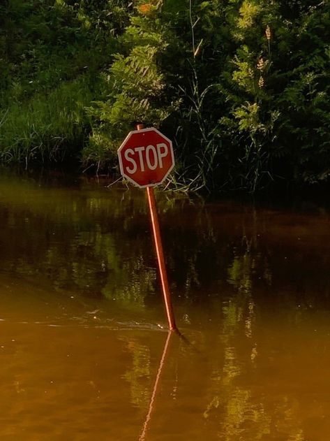 Aesthetic Stop Sign, Stop Sign Painting Ideas, Stop Sign Aesthetic, Violet Aesthetic, Stop Sign, Drawing Stuff, Ap Art, Road Signs, New Wall