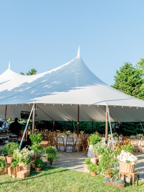 Reception Tent Entrance, Wedding Tent Entrance Decor, Tent Entrance Wedding, Wedding Tent Entrance, Tent Entrance, Entrance Display, Bunny Mellon, Elegant Backyard, Summer Dinner Party