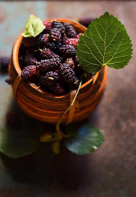 Mulberries...  #foodphotography #photography #stilllife #foodstyling #fruits #berries #mulberries Mulberry Aesthetic, Mulberry Photography, Blackberry Aesthetic, Fruit Appetizers Easy, Cactus Recipe, Mulberry Tea, Mulberry Jam, Fruits Garden, Mulberry Fruit