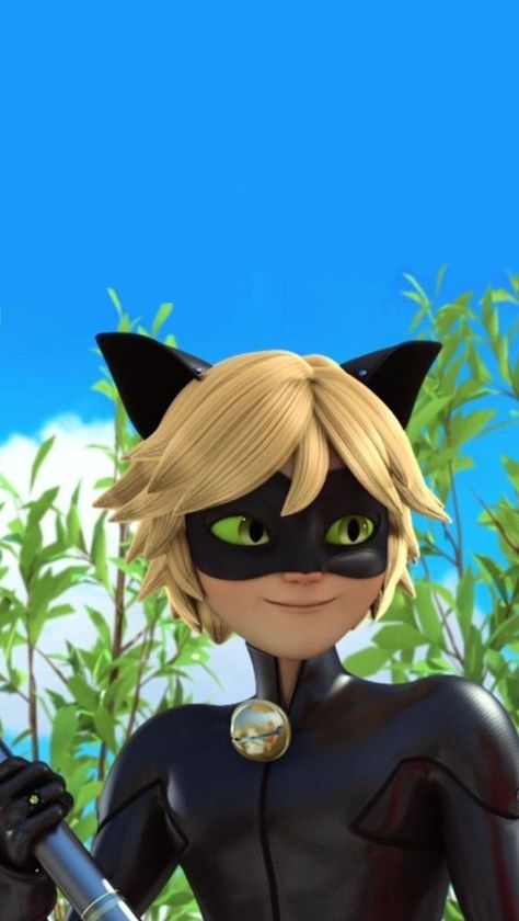 Miraculous - Cat Noir Wallpaper Adrien Miraculous, Mlb Wallpaper, Indie Photography, Beauty And The Beast Movie, Rare Cats, Miraculous Wallpaper, Miraculous Ladybug Memes, Miraculous Ladybug Wallpaper, Adrien Agreste