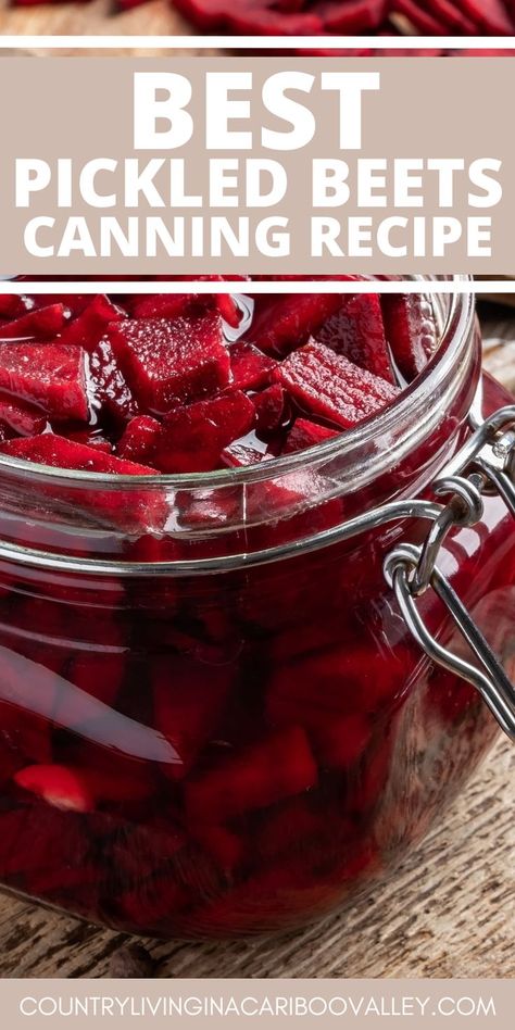 Pickled Beets Canning Recipe, Beets Canning, Best Pickled Beets Recipe, Canned Beets Recipe, Quick Pickled Beets, Refrigerator Pickled Beets, Canning Pickles Recipe, Canned Pickled Beets, Canning Beets