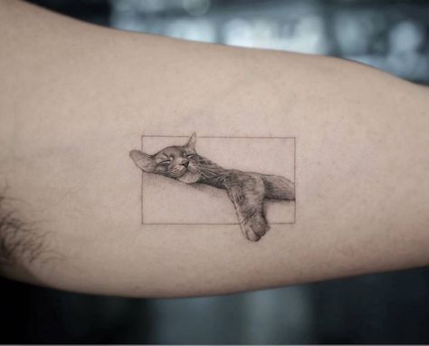 Micro-realist cat tattoo on inner arm Cat And Dog Tattoo, Tatoo Dog, Inner Arm Tattoo, Black Cat Tattoos, Muster Tattoos, Cat Tattoo Designs, Modern Tattoos, Memorial Tattoos, Subtle Tattoos