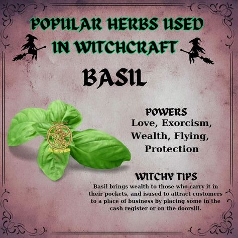 Common herbs used in witchcraft include: - **Sage**: Often used for cleansing and protection. - **Rosemary**: Associated with memory and fidelity, used in rituals for clarity. - **Lavender**: Known for promoting peace and tranquility, often used in love spells. - **Mugwort**: Used for enhancing dreams and psychic abilities. - **Basil**: Believed to attract wealth and protect against negativity. These herbs are valued for their symbolic meanings and practical applications in various magical ... Lucky Herbs Witchcraft, Basil Spells, Sage Meaning Witchcraft, Protection Herbs Witchcraft, Basil Witchcraft, Rosemary Witchcraft Uses, Herbs Used In Witchcraft, Herb Meanings, Magical Herbs Witchcraft