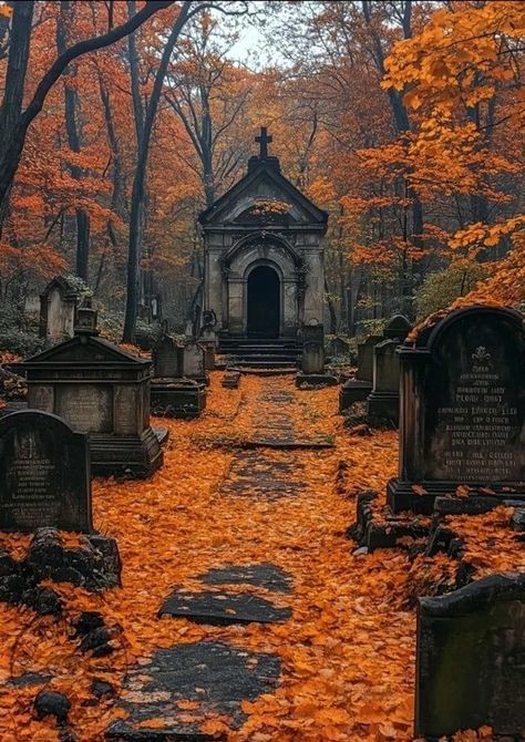 Victorian Occult Aesthetic, Gothic Halloween Aesthetic, Maximal Interior, Witchcore Decor, Dark Academia Forest, Dark Academia Autumn, Spooky Autumn, Dark Victorian, Occult Decor