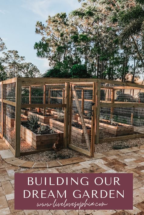 Walk In Garden Cage, Outdoor Enclosed Garden, Covered Raised Beds Veggie Gardens, Shed And Garden Ideas, Veggie Garden Enclosure, Raised Enclosed Garden Beds, Enclosed Veggie Garden Ideas, Enclosed Vegetable Gardens, Enclosed Gardens Ideas