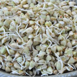 Sprouted Raw Buckwheat Porridge Buckwheat Groats Recipes, Sprouted Buckwheat, Buckwheat Porridge, Sprouts Recipes, Buckwheat Groats, Allergy Recipes, Flexitarian Diet, Porridge Recipes, Energy Foods