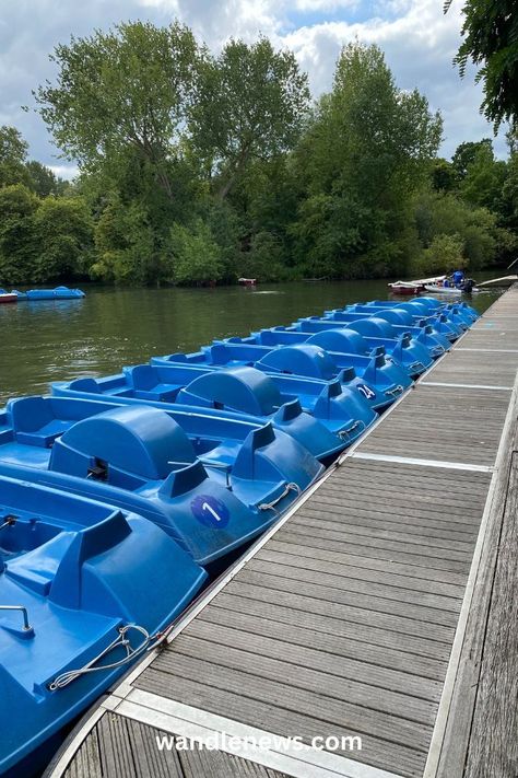 Battersea park boating lake has both pedal boats and rowing boats that you can hire for either 30 minutes or an hour at a time. This post tells you everything you need to know about the boating lake in Battersea Park, including the opening times, cost and rules to rent a boat. Hire a boat on your vacation to London England. Things to do in London. Shallow Water Boats, Best Places In London, Battersea Park, Pedal Boats, Battersea Power Station, Shallow Water, London Places, Things To Do In London, Row Boat