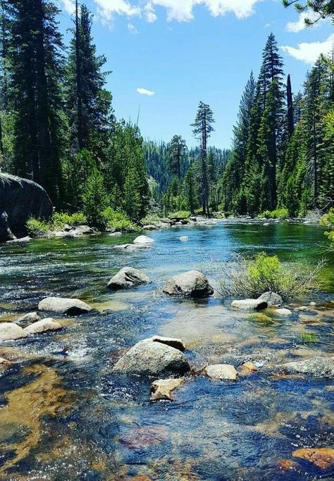 Tuolumne Meadows, Places In The World, Beautiful Places Nature, Most Beautiful Cities, Beautiful Places In The World, Alam Yang Indah, Nature Scenes, Landscape Photos, Most Beautiful Places