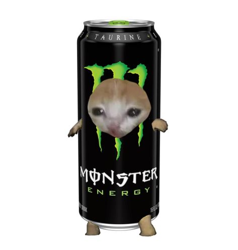 Sad cat in a monster can, black, green Cats Png, Monster Cat, Food Cat, Cats Pictures, Monster Energy Drink, Drink Icon, Cute Easy Doodles, Love Monster, Silly Cats Pictures