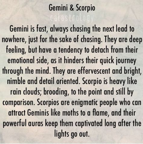 Gemini Scorpio Relationship, Gemini Woman And Scorpio Man, Scorpio Gemini Compatibility, Scorpio And Gemini Relationship Love, Scorpio And Gemini Relationship, Gemini Vs Scorpio, Gemini And Scorpio Compatibility, Scorpio And Gemini, Scorpio Gemini