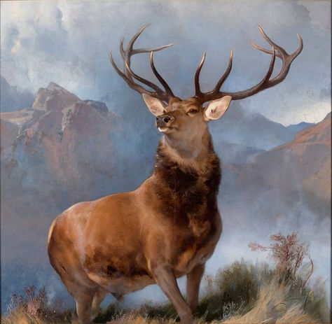 Landseer's The Monarch of the Glen Exhibition at National Gallery Edwin Landseer, Monarch Of The Glen, Images D'art, Deer Painting, The Monarch, Vintage Deer, Famous Art, Art Vintage, Art Original