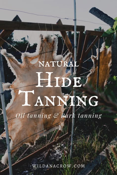 Natural Tanning, Hide Tanning, Hide Tanning Frame, How To Tan A Cowhide, Tanning Hides Diy, How To Tan A Hide, Deer Hide Tanning Diy, Bark Tanning, How To Tan A Coyote Hide