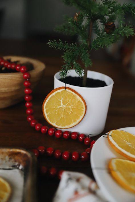 Easy DIY | How to Make Dried Orange Ornaments - The Quick Journey Orange Slice Christmas, Orange Slice Ornaments, Dried Orange Ornaments, Simple Christmas Diy, Orange Christmas Decor, Classic Christmas Decor, Salt Dough Christmas Ornaments, Orange Ornaments, A Simple Christmas