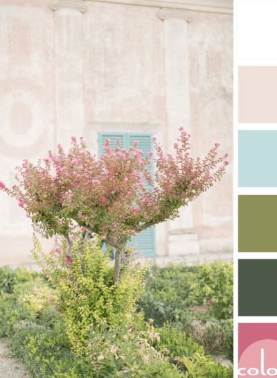 COLOR PALETTES Archives - Concepts and Colorways Pink And Green Color Palette, Olive Green Bathrooms, Bathroom Pink, Feminine Color Palette, Cactus Rose, Green Color Palette, Green Palette, Color Palette Pink, Green Colour Palette