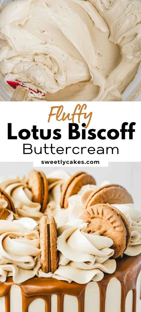 Elevate your baked goods with the heavenly flavor of Lotus Biscoff using this delectable Biscoff Buttercream recipe. Made with creamy Lotus cookie butter spread, this easy-to-make frosting is perfect for filling and covering layer cakes or topping cupcakes, offering a creamy and indulgent taste of cookie butter in every swirl. Biscoff Filling Recipe, Biscoff Buttercream Frosting, Cake And Icing Flavor Combinations, Biscoff Treats, Lotus Biscoff Recipes, Biscoff Cake Recipe, Biscoff Frosting, Buttercream Flavors, Biscoff Desserts