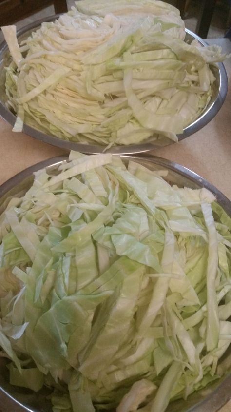 Canning Cabbage – Preserving the Good Life Canned Cabbage, Canning Cabbage Recipes, Canning Cabbage, Canning Peaches, Steamed Cabbage, Pressure Canning Recipes, Home Canning Recipes, Canning Vegetables, Recipes Written