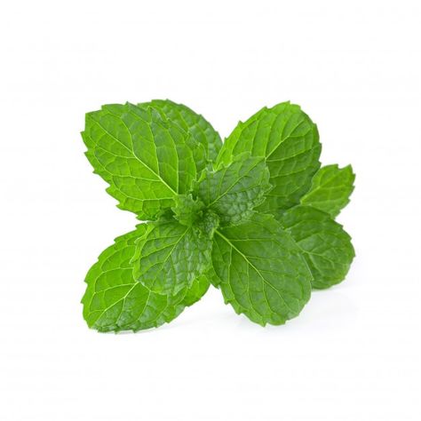 Pictures Of Leaves, Daun Mint, Leaf Photo, Plate Png, Bday Dinner, Cooking Herbs, Background Food, Learn Marketing, Apple Mint