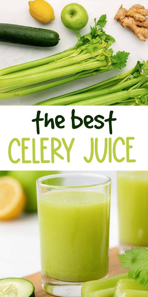 Celery juice can be made with just celery, but as you can imagine the flavor is a bit strong. I like to make my celery juice a little sweeter with a crisp green apple and pair it with citrus and cucumber flavors. While you still taste the celery, this combination is much more flavorful and easy to drink! Celery Recipes, Vegan Juice, Spinach Juice, Healthy Juicer Recipes, Homemade Juice, Juicy Juice, Green Juice Recipes, Juicer Recipes, Celery Juice