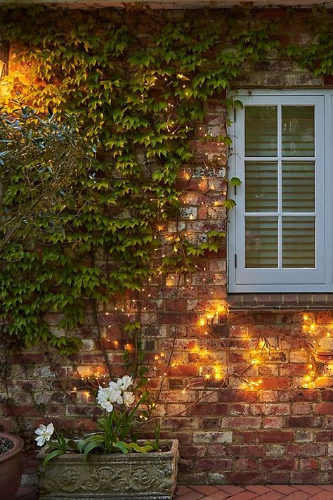 Solar LED Ivy Branch Lights Lights Outdoors, Branch Lights, Wall Tree, Solar Fence Lights, Outdoor Fairy Lights, Diwali Lights, Ivy Vine, Warm White Led Lights, Solar Fairy Lights